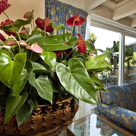 Excelsior Belvedere & 5* Ischia